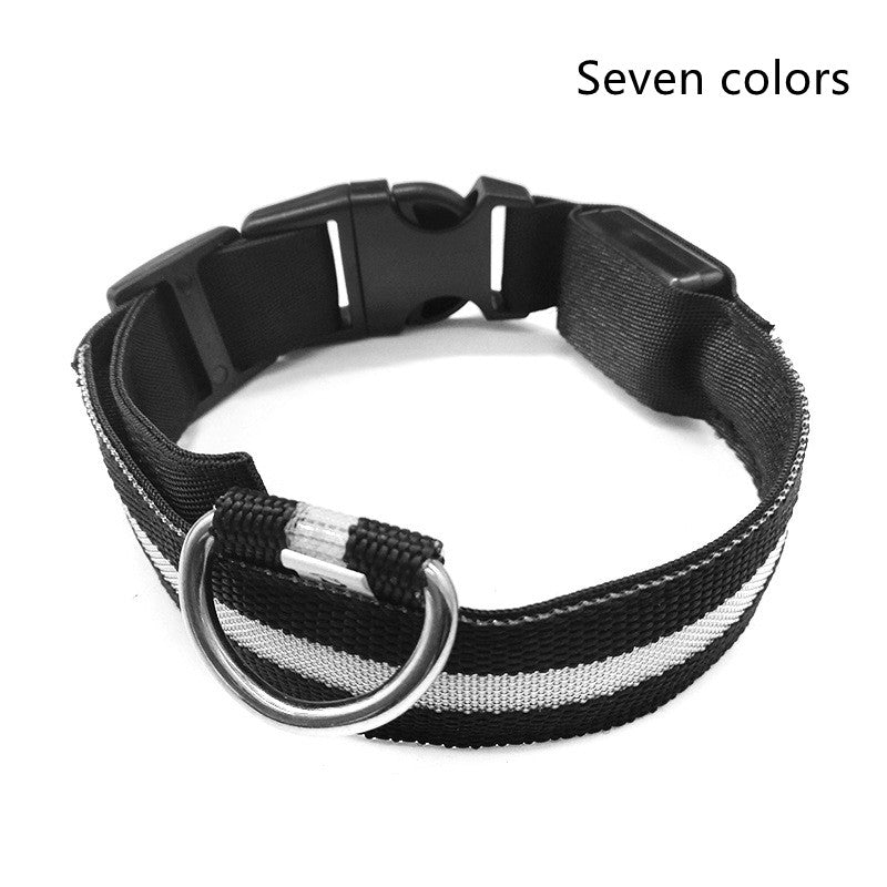 LED Pet Safety Collar for Night Walks from MotivePets for pet comfort, care and everyday use