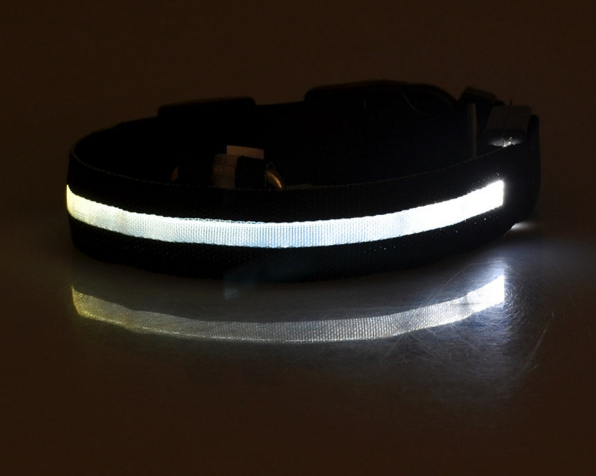 LED Pet Safety Collar for Night Walks from MotivePets for pet comfort, care and everyday use
