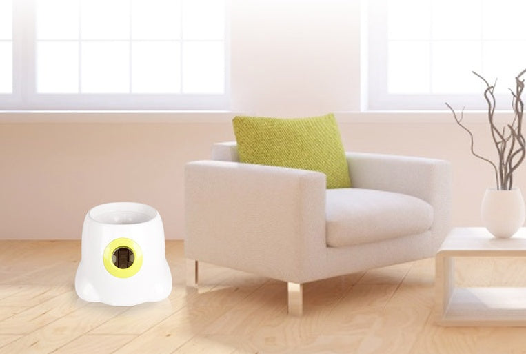 Dog Pet Automatic Interactive Ball Launcher from MotivePets for pet comfort, care and everyday use