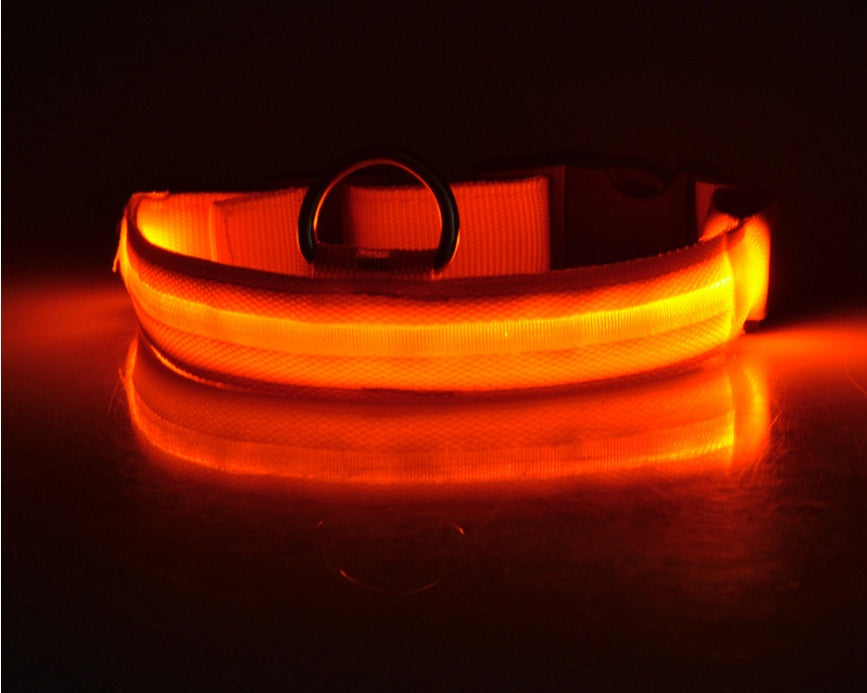 LED Pet Safety Collar for Night Walks from MotivePets for pet comfort, care and everyday use