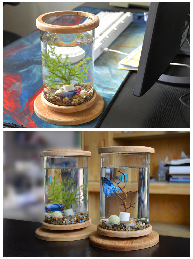 Small Office Glass Aquarium with Bamboo Base from MotivePets for pet comfort, care and everyday use