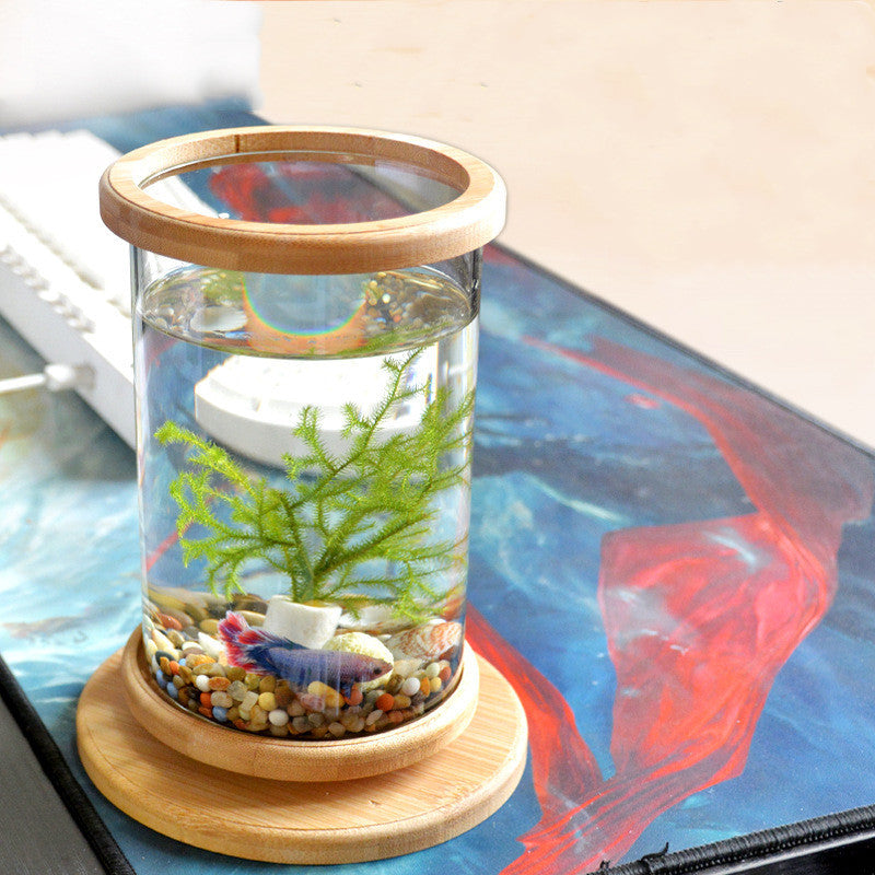Small Office Glass Aquarium with Bamboo Base from MotivePets for pet comfort, care and everyday use
