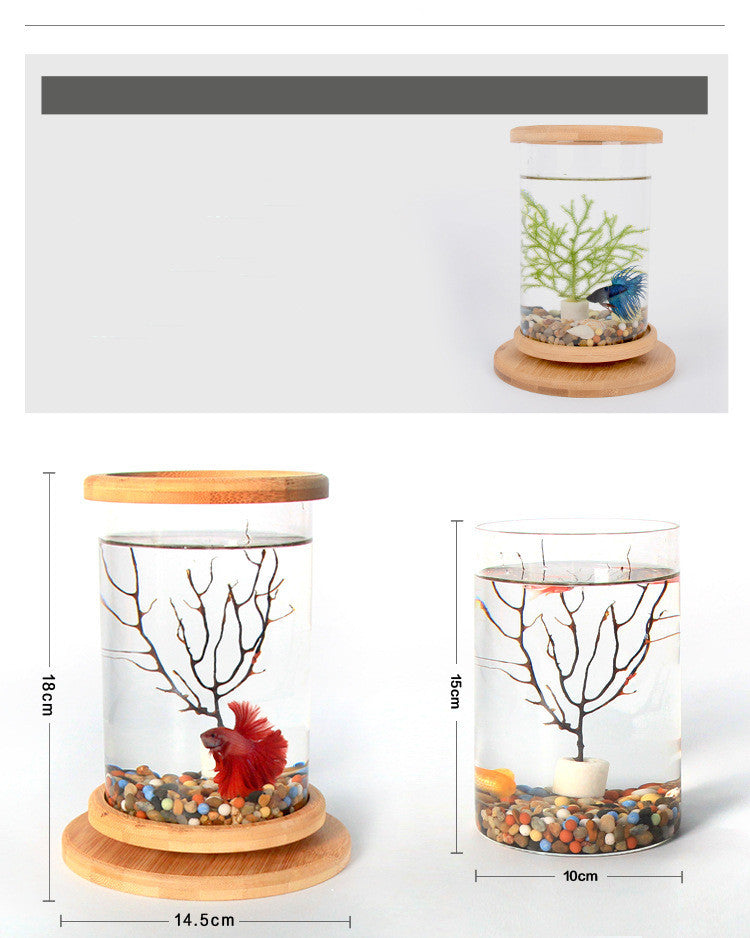 Small Office Glass Aquarium with Bamboo Base from MotivePets for pet comfort, care and everyday use