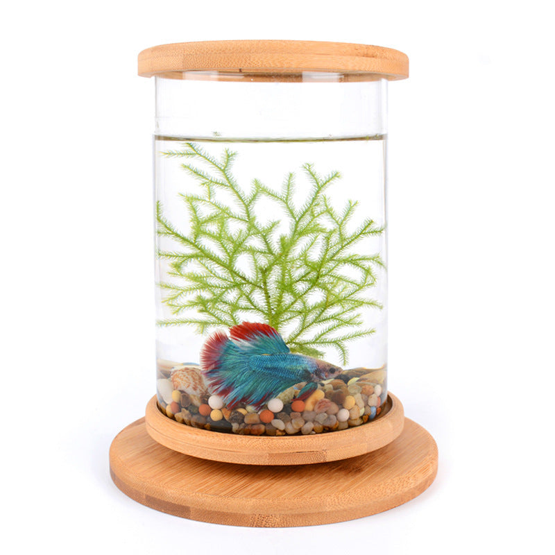 Small Office Glass Aquarium with Bamboo Base from MotivePets for pet comfort, care and everyday use