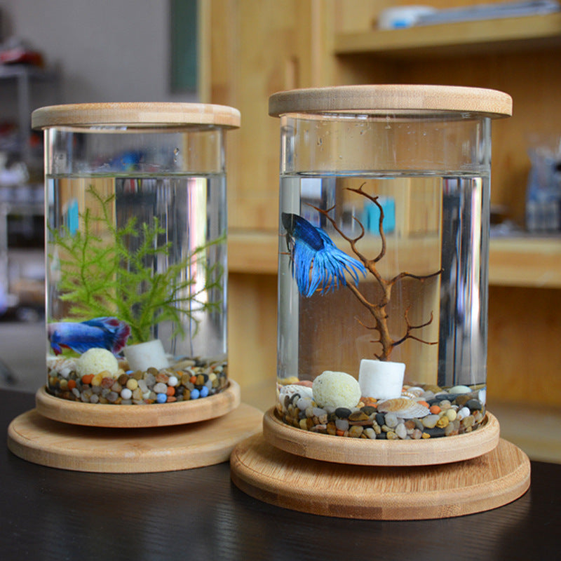 Small Office Glass Aquarium with Bamboo Base from MotivePets for pet comfort, care and everyday use