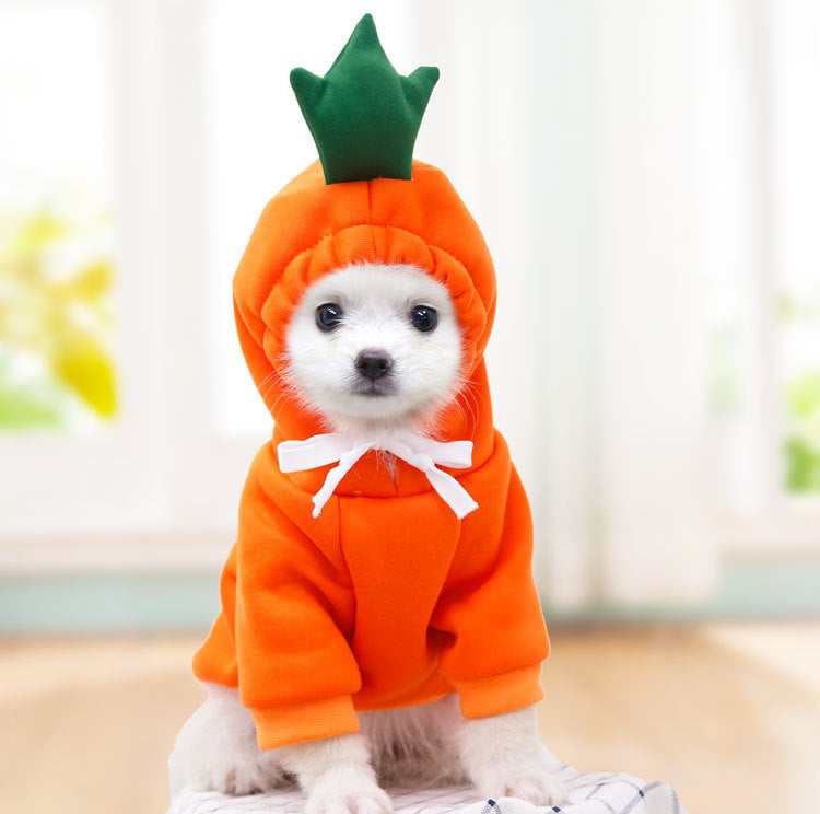 Cute Fruit Fleece Dog Hoodies from MotivePets for pet comfort, care and everyday use