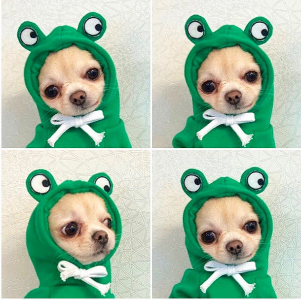 Cute Fruit Fleece Dog Hoodies from MotivePets for pet comfort, care and everyday use
