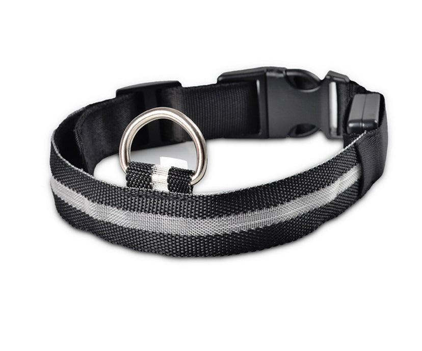 LED Pet Safety Collar for Night Walks from MotivePets for pet comfort, care and everyday use