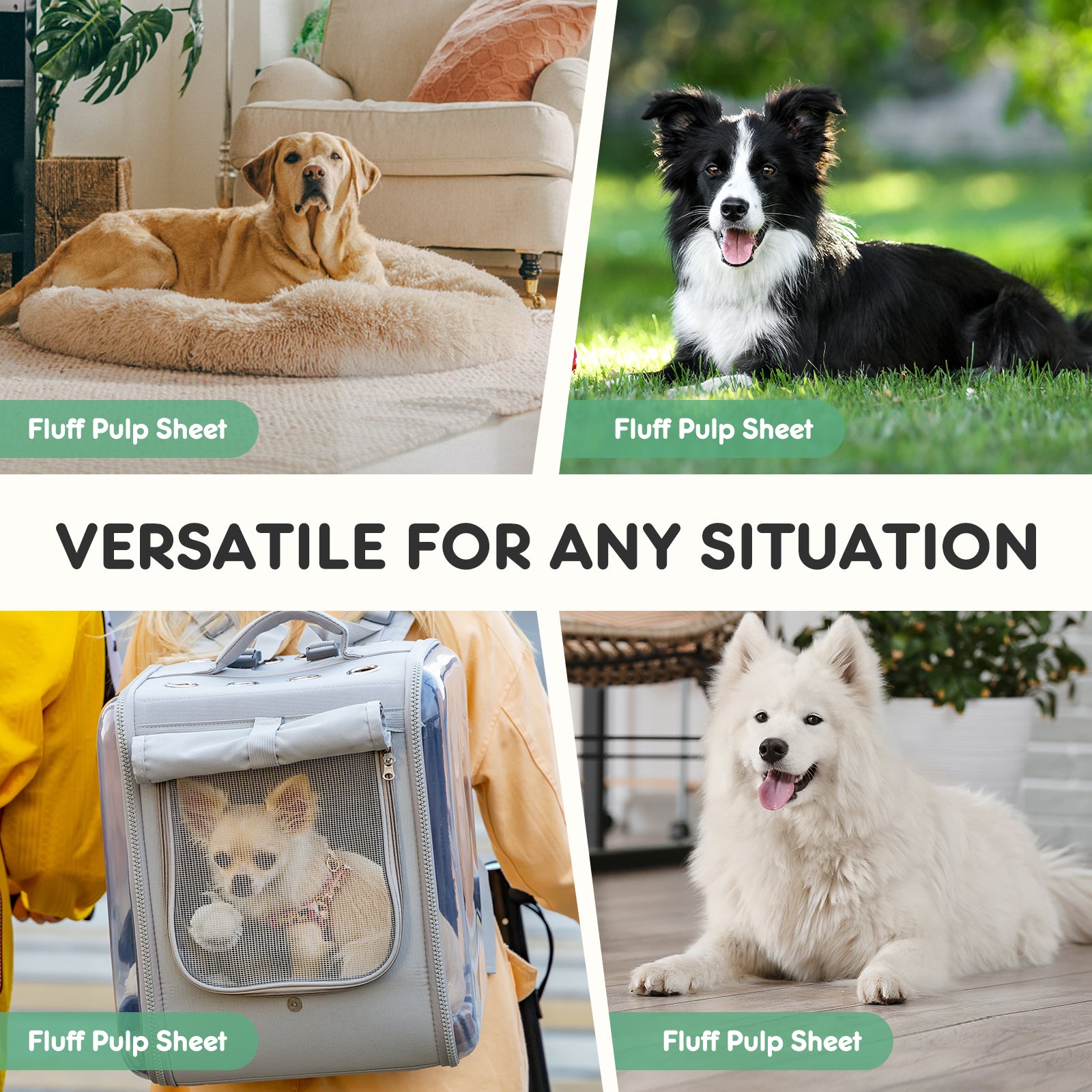 Leak-Proof Disposable Puppy Pee Pads from MotivePets for pet comfort, care and everyday use