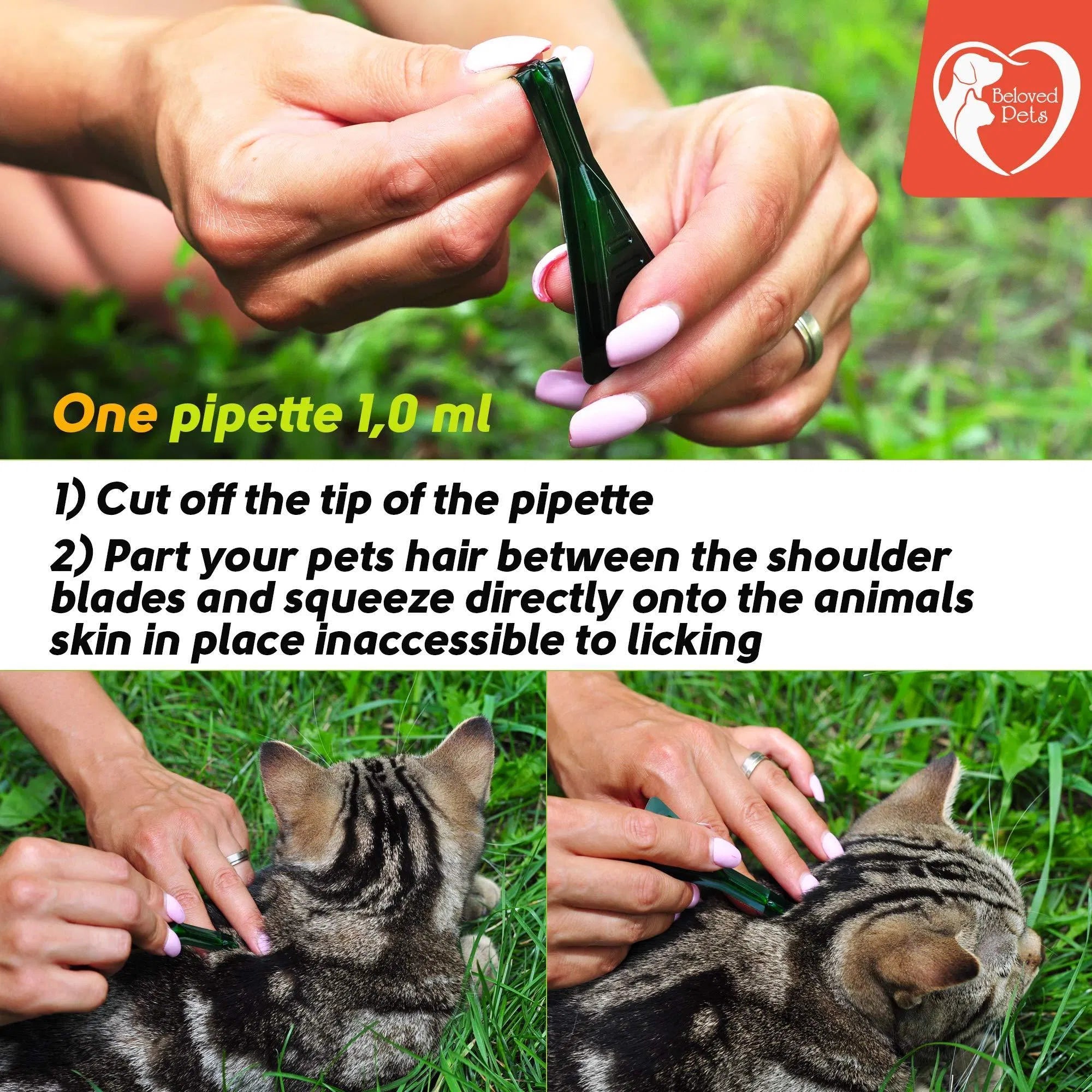 GreenFort NEO Flea & Tick Spot-on from MotivePets for pet comfort, care and everyday use
