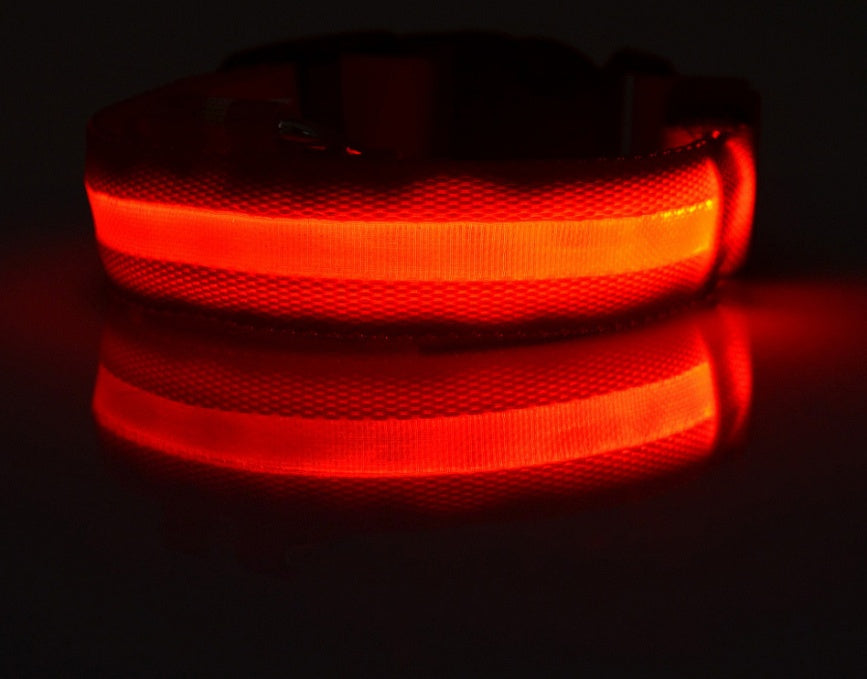 LED Pet Safety Collar for Night Walks from MotivePets for pet comfort, care and everyday use