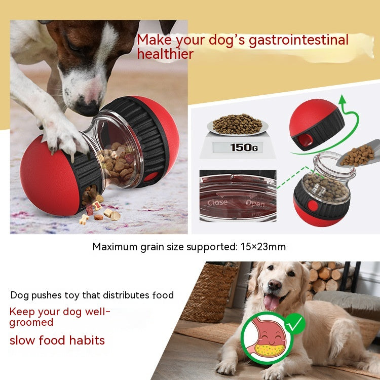 Durable Interactive Tumbler Pet Feeder from MotivePets for pet comfort, care and everyday use