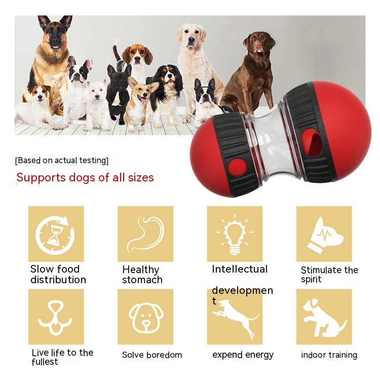 Durable Interactive Tumbler Pet Feeder from MotivePets for pet comfort, care and everyday use
