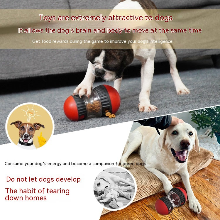 Durable Interactive Tumbler Pet Feeder from MotivePets for pet comfort, care and everyday use