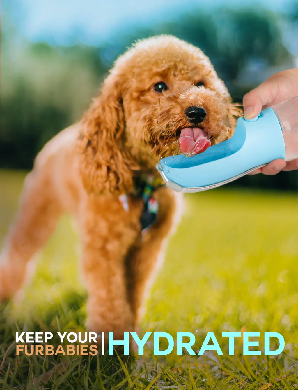 3-in-1 Dog Water Bottle - Water, Food & Poop Bag Dispenser, Leak-Proof from MotivePets for pet comfort, care and everyday use