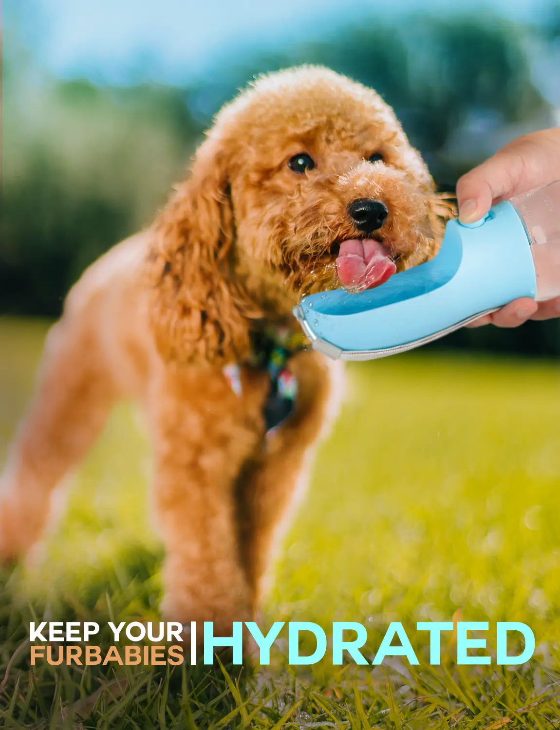 3-in-1 Dog Water Bottle - Water, Food & Poop Bag Dispenser, Leak-Proof from MotivePets for pet comfort, care and everyday use