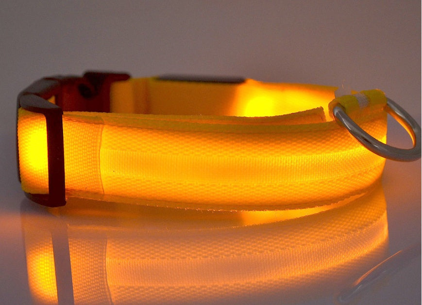 LED Pet Safety Collar for Night Walks from MotivePets for pet comfort, care and everyday use