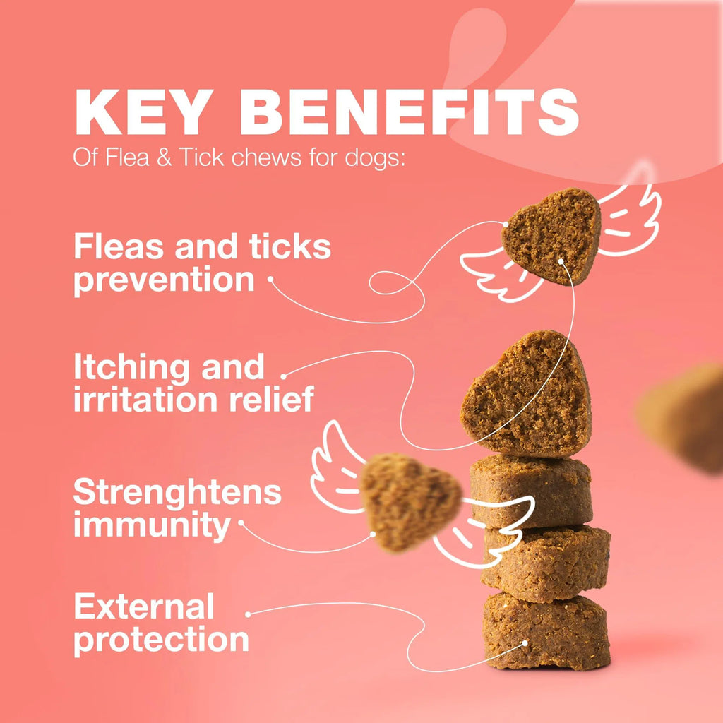 Chewia Flea & Tick Soft Chews for Dogs from MotivePets for pet comfort, care and everyday use
