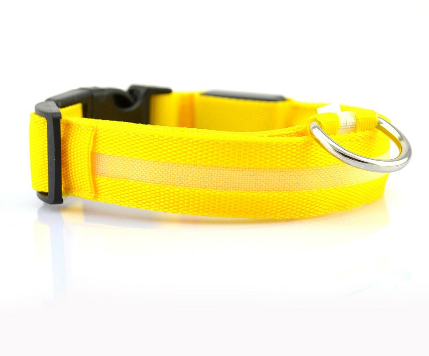 LED Pet Safety Collar for Night Walks from MotivePets for pet comfort, care and everyday use