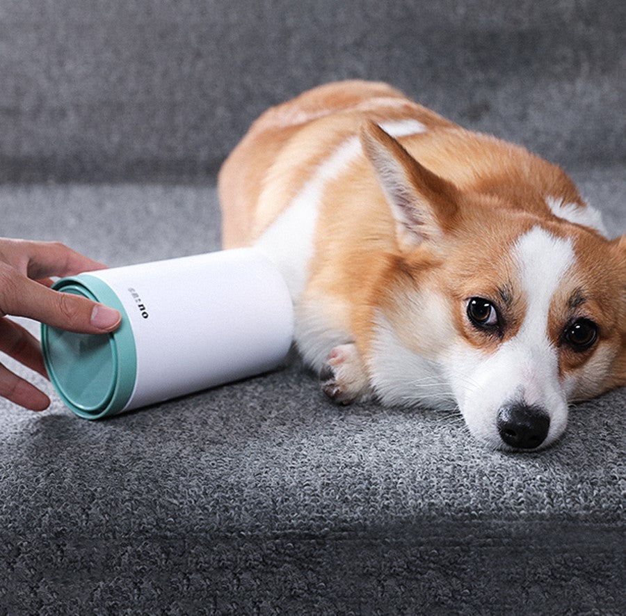 Portable Pet Paw Cleaner Cup Soft Silicone Comb from MotivePets for pet comfort, care and everyday use