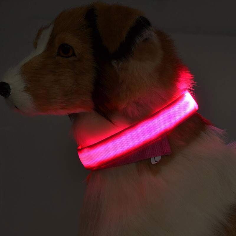 LED Pet Safety Collar for Night Walks from MotivePets for pet comfort, care and everyday use
