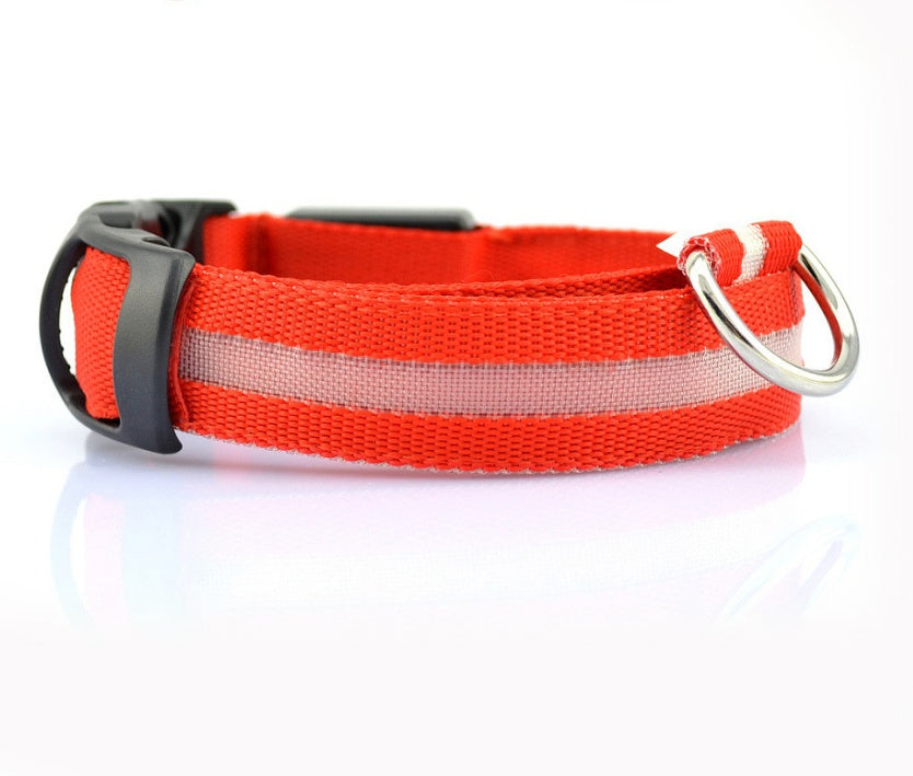LED Pet Safety Collar for Night Walks from MotivePets for pet comfort, care and everyday use