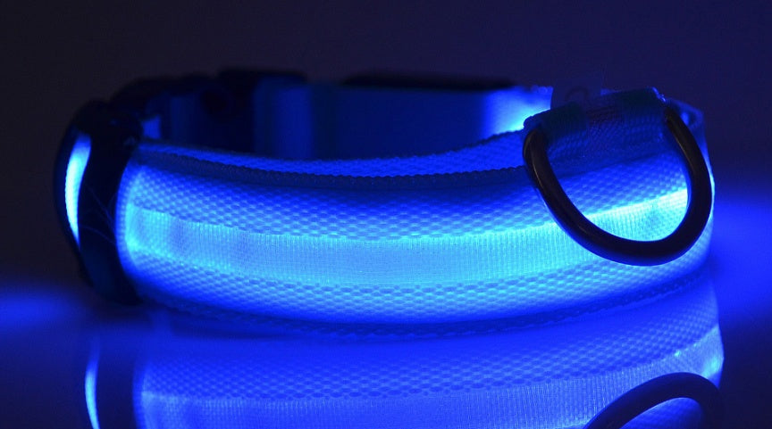LED Pet Safety Collar for Night Walks from MotivePets for pet comfort, care and everyday use