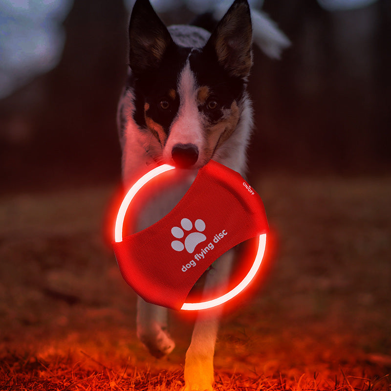 LED Flying Disc for Dogs - Glowing Natural Rubber Frisbee, USB Rechargeable from MotivePets for pet comfort, care and everyday use