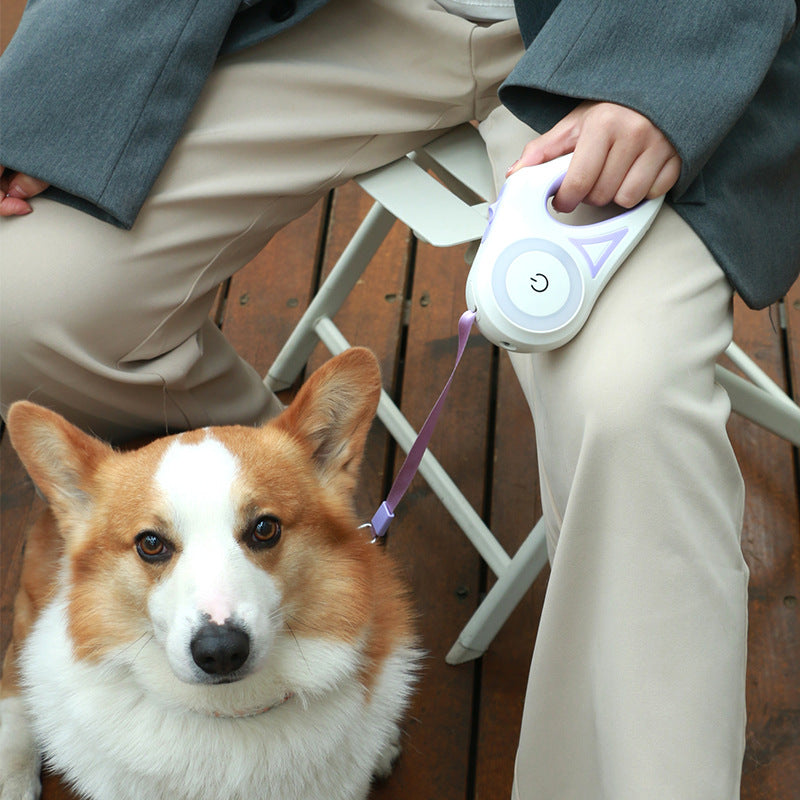 Spotlight Retractable Dog Leash from MotivePets for pet comfort, care and everyday use