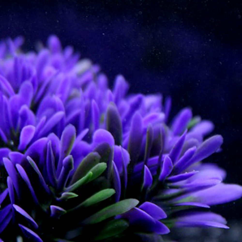 Fish Tank Landscaping Aquarium Plant Accessories from MotivePets for pet comfort, care and everyday use