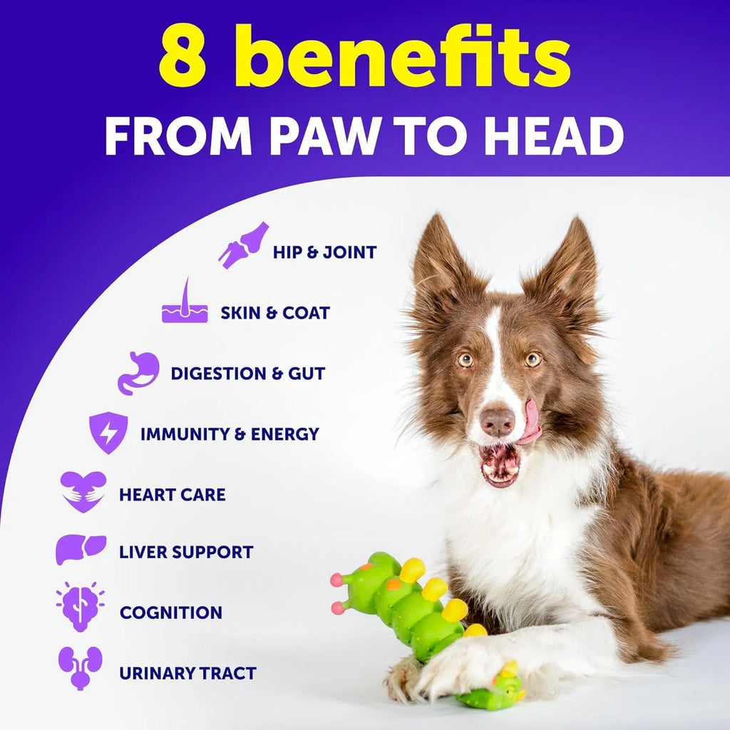 Artullano 20-in-1 Advanced Multivitamin from MotivePets for pet comfort, care and everyday use