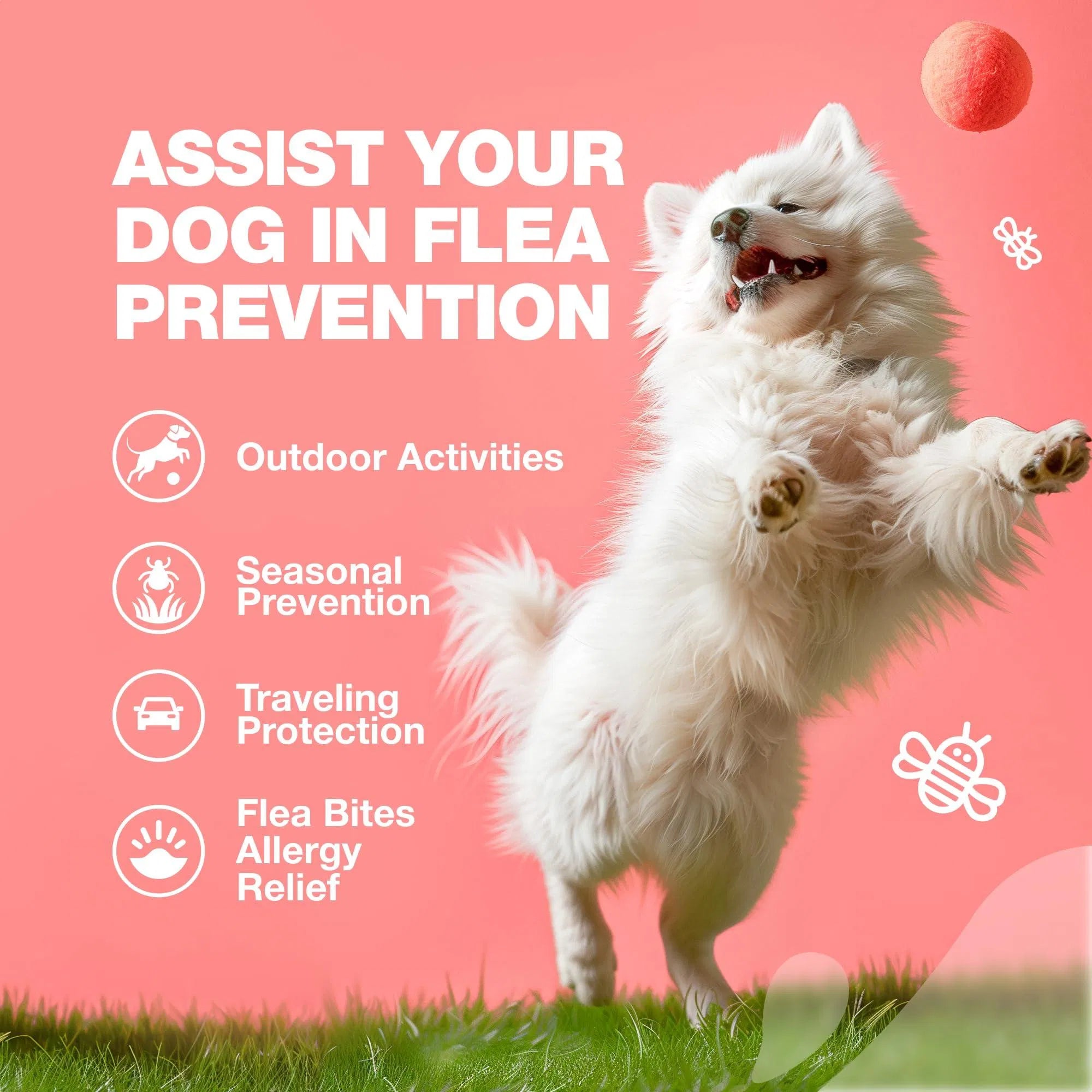 Chewia Flea & Tick Soft Chews for Dogs from MotivePets for pet comfort, care and everyday use