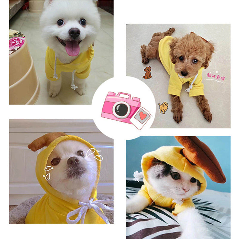 Cute Fruit Fleece Dog Hoodies from MotivePets for pet comfort, care and everyday use