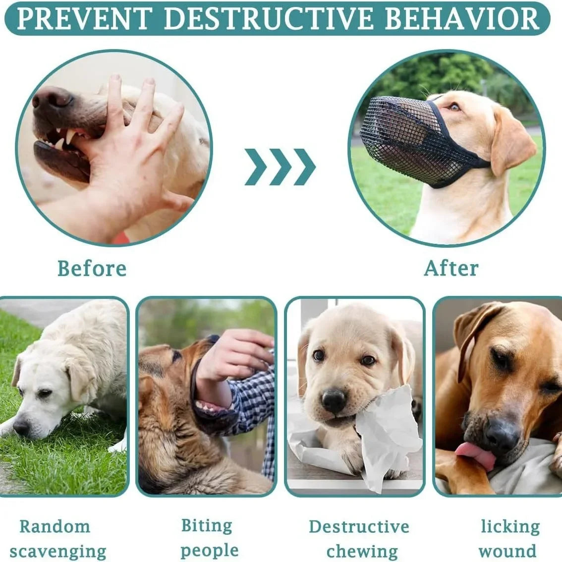 Anti-Lick & Anti-Bite Dog Muzzle - Breathable, Adjustable, Sizes S–L from MotivePets for pet comfort, care and everyday use