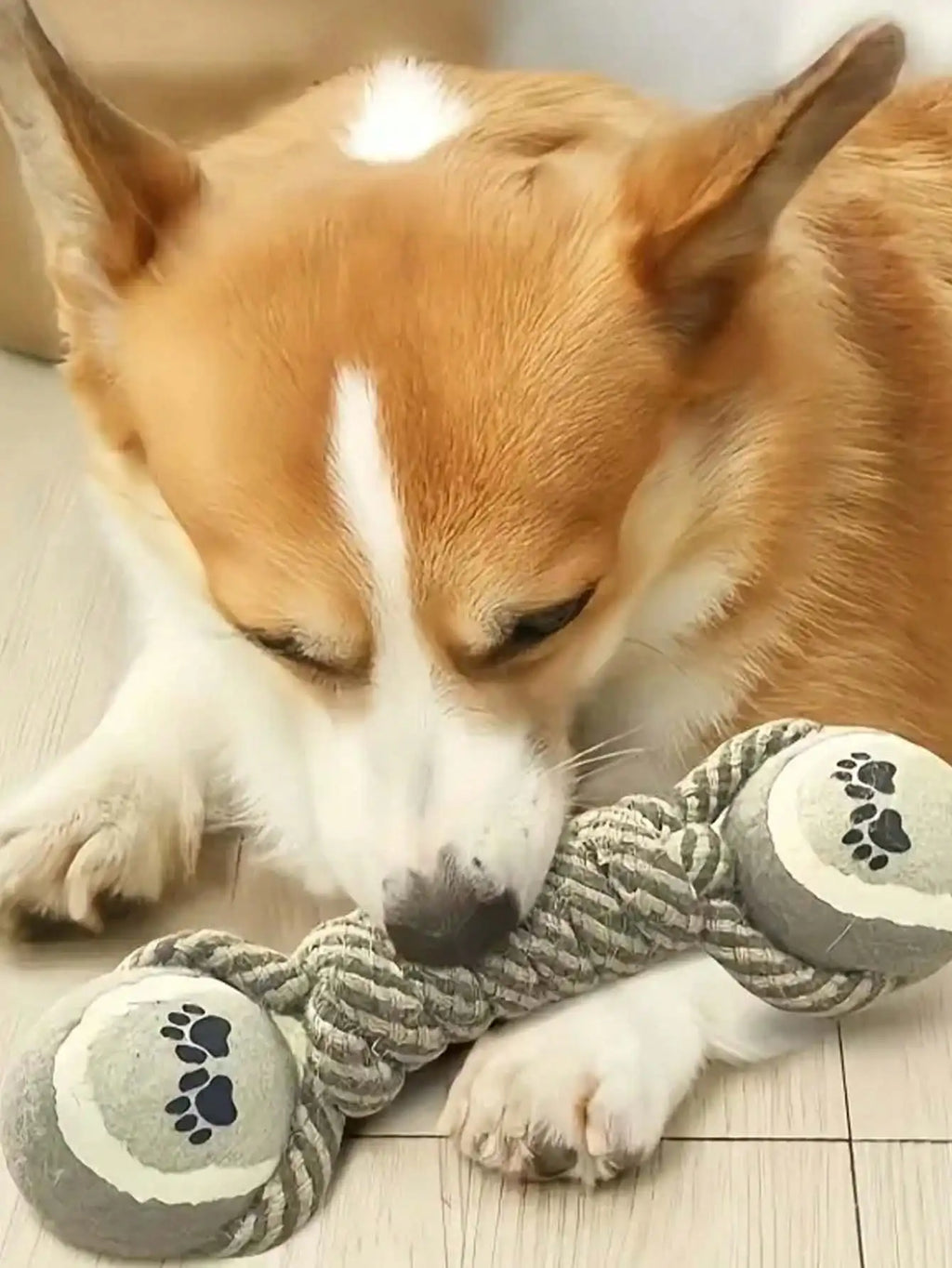 Teeth Cleaning Pet Toy - Durable Linen Chew Rope for Dogs & Cats from MotivePets for pet comfort, care and everyday use
