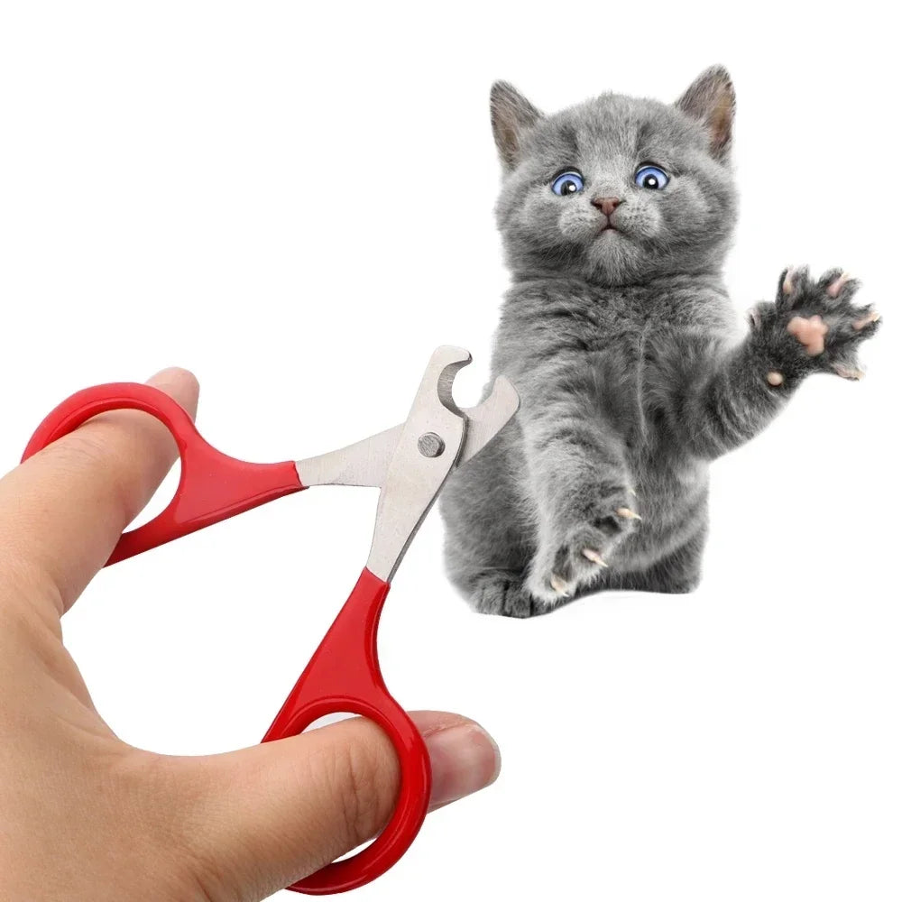 Professional Puppy Nail Clippers - Precision Blades, Safe for Small Paws from MotivePets for pet comfort, care and everyday use