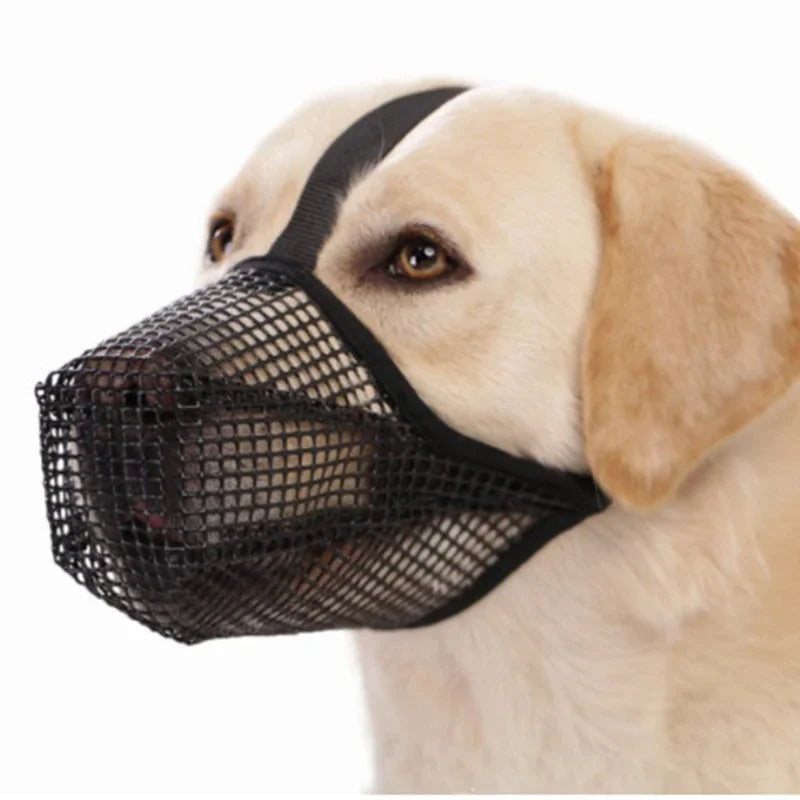 Anti-Lick & Anti-Bite Dog Muzzle - Breathable, Adjustable, Sizes S–L from MotivePets for pet comfort, care and everyday use