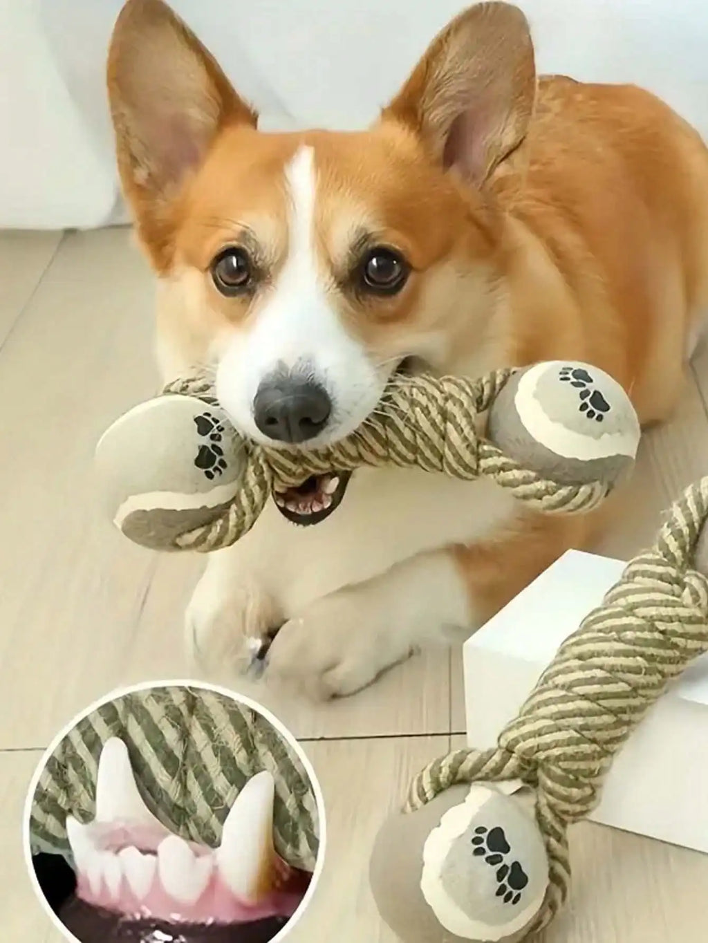 Teeth Cleaning Pet Toy - Durable Linen Chew Rope for Dogs & Cats from MotivePets for pet comfort, care and everyday use
