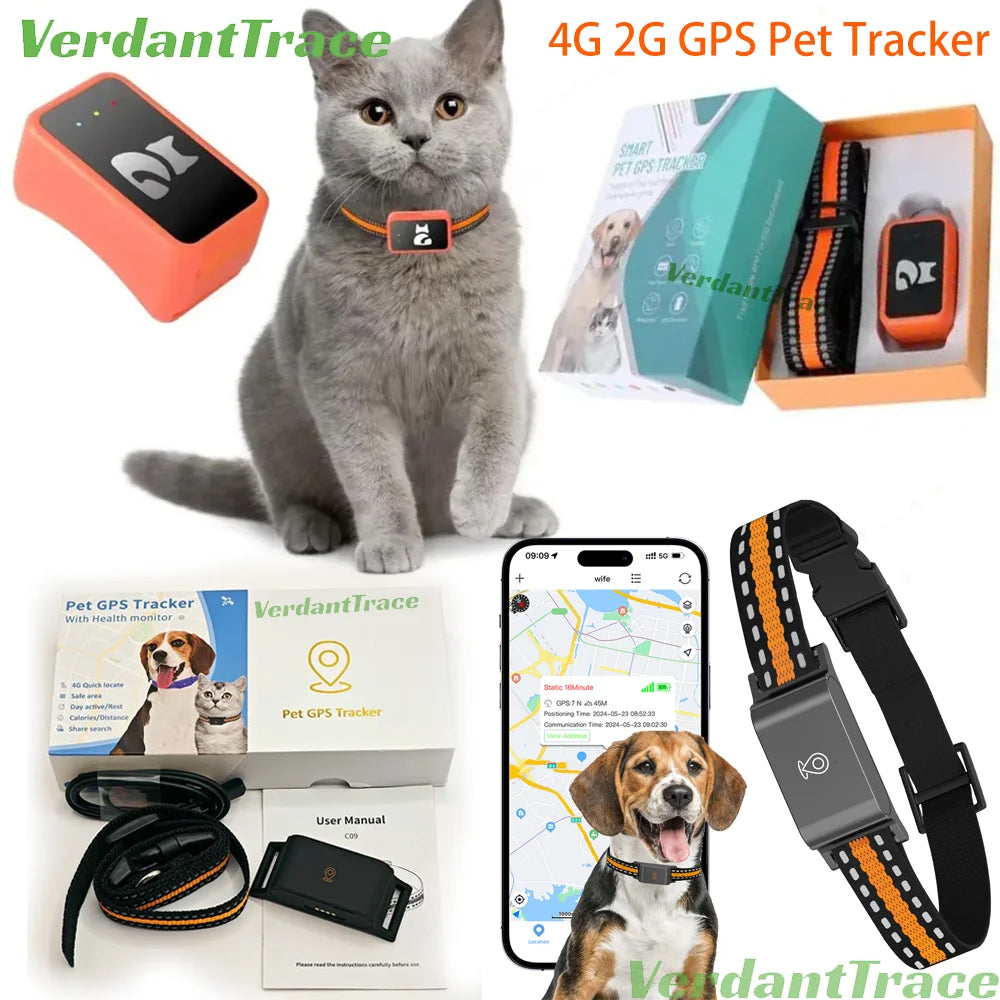 4G GPS Pet Tracker Collar - IP67 Waterproof, Real-Time Tracking & Geofencing from MotivePets for pet comfort, care and everyday use