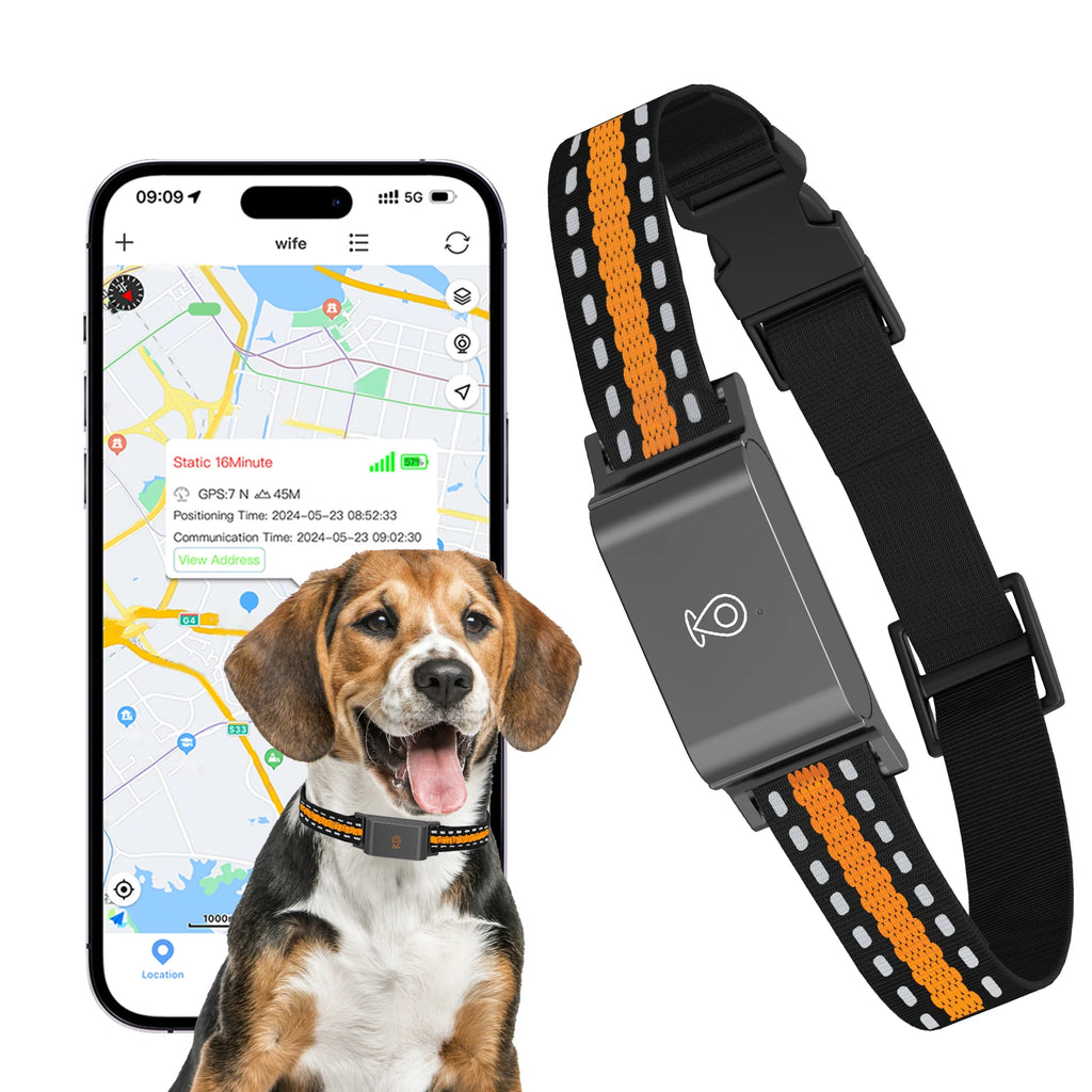 4G GPS Pet Tracker Collar - IP67 Waterproof, Real-Time Tracking & Geofencing from MotivePets for pet comfort, care and everyday use