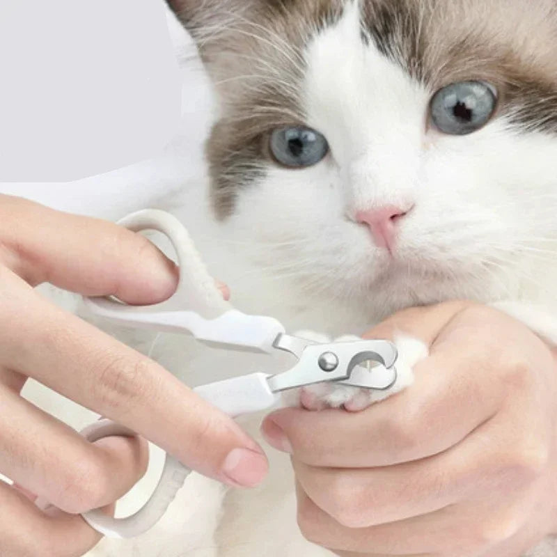 Professional Puppy Nail Clippers - Precision Blades, Safe for Small Paws from MotivePets for pet comfort, care and everyday use
