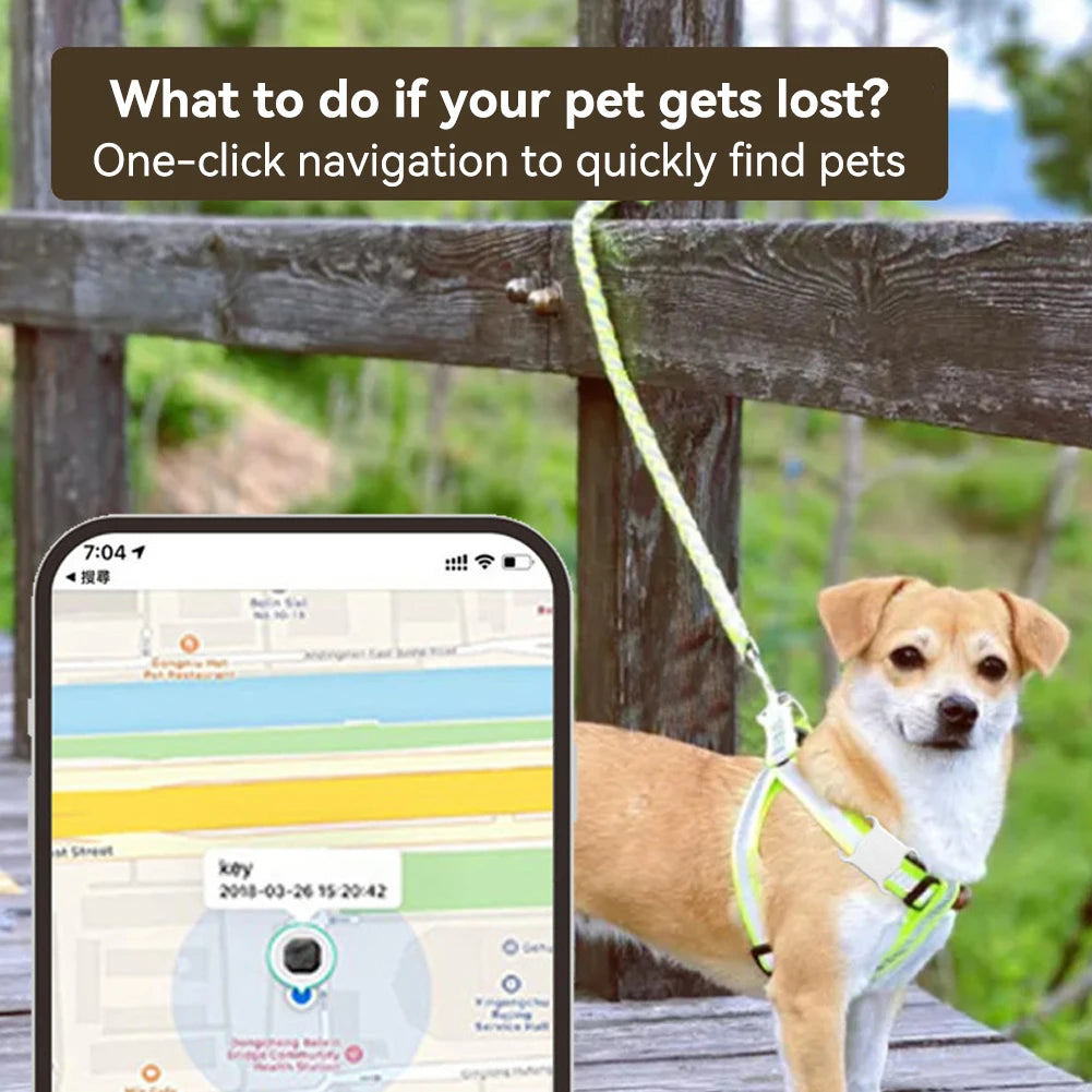 Bluetooth Pet Tracker Tag - Anti-Loss Locator for Dogs & Cats, iOS & Android from MotivePets for pet comfort, care and everyday use