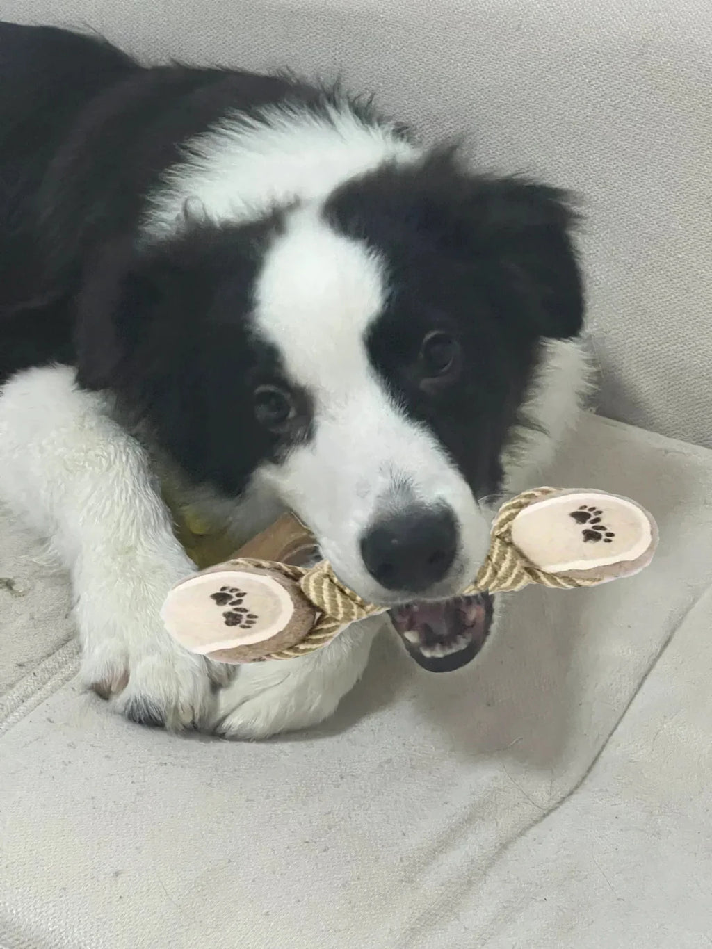 Teeth Cleaning Pet Toy - Durable Linen Chew Rope for Dogs & Cats from MotivePets for pet comfort, care and everyday use