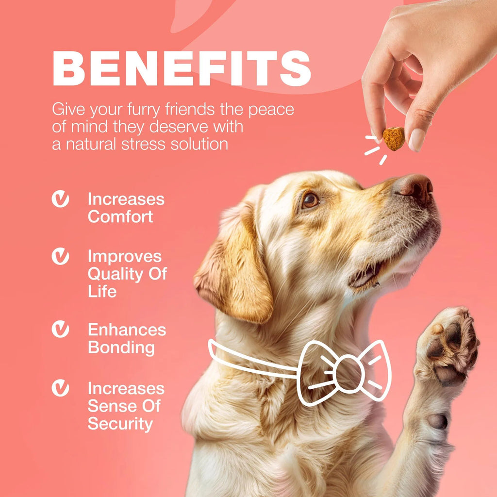 Chewia Flea & Tick Soft Chews for Dogs from MotivePets for pet comfort, care and everyday use