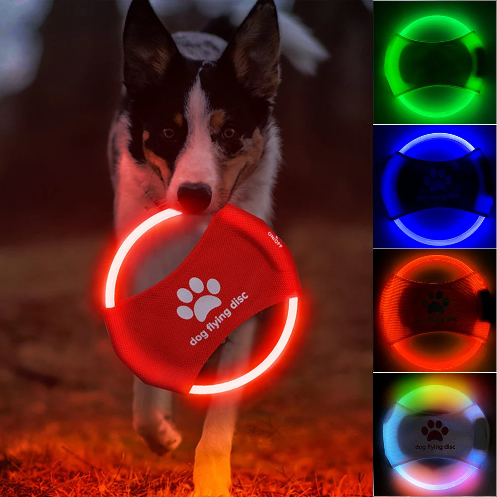 LED Flying Disc for Dogs - Glowing Natural Rubber Frisbee, USB Rechargeable from MotivePets for pet comfort, care and everyday use