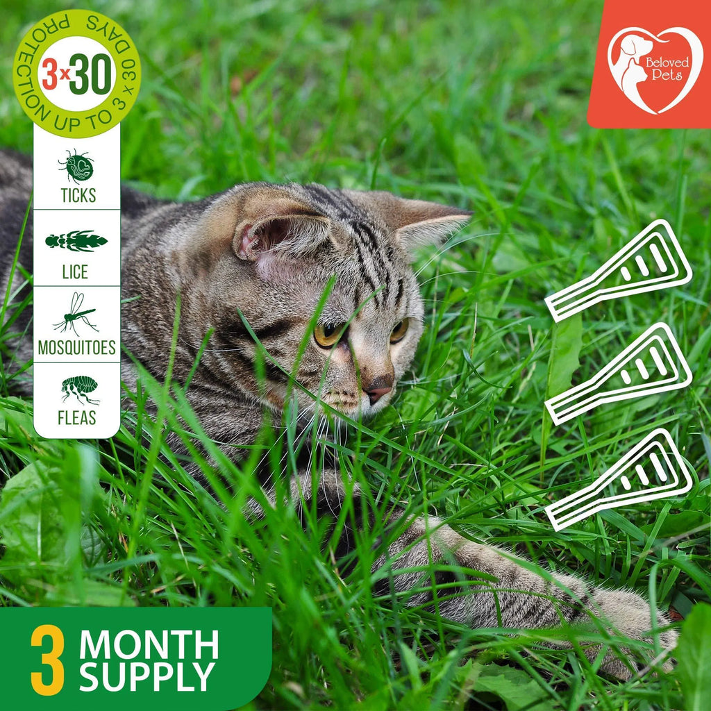 GreenFort NEO Flea & Tick Spot-on from MotivePets for pet comfort, care and everyday use