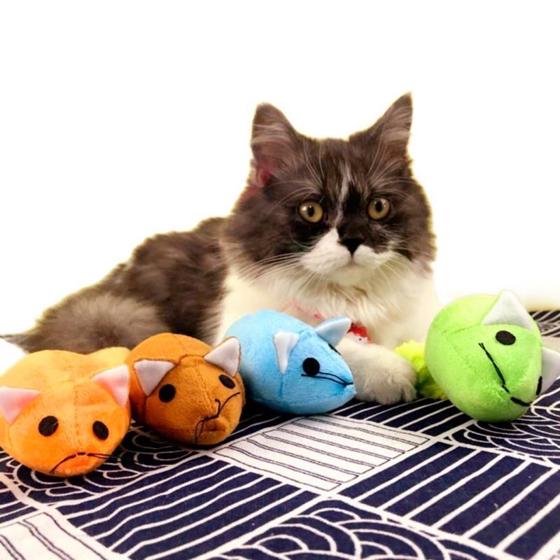Long Tail Mouse Cat Teaser & Training Toy from MotivePets for pet comfort, care and everyday use