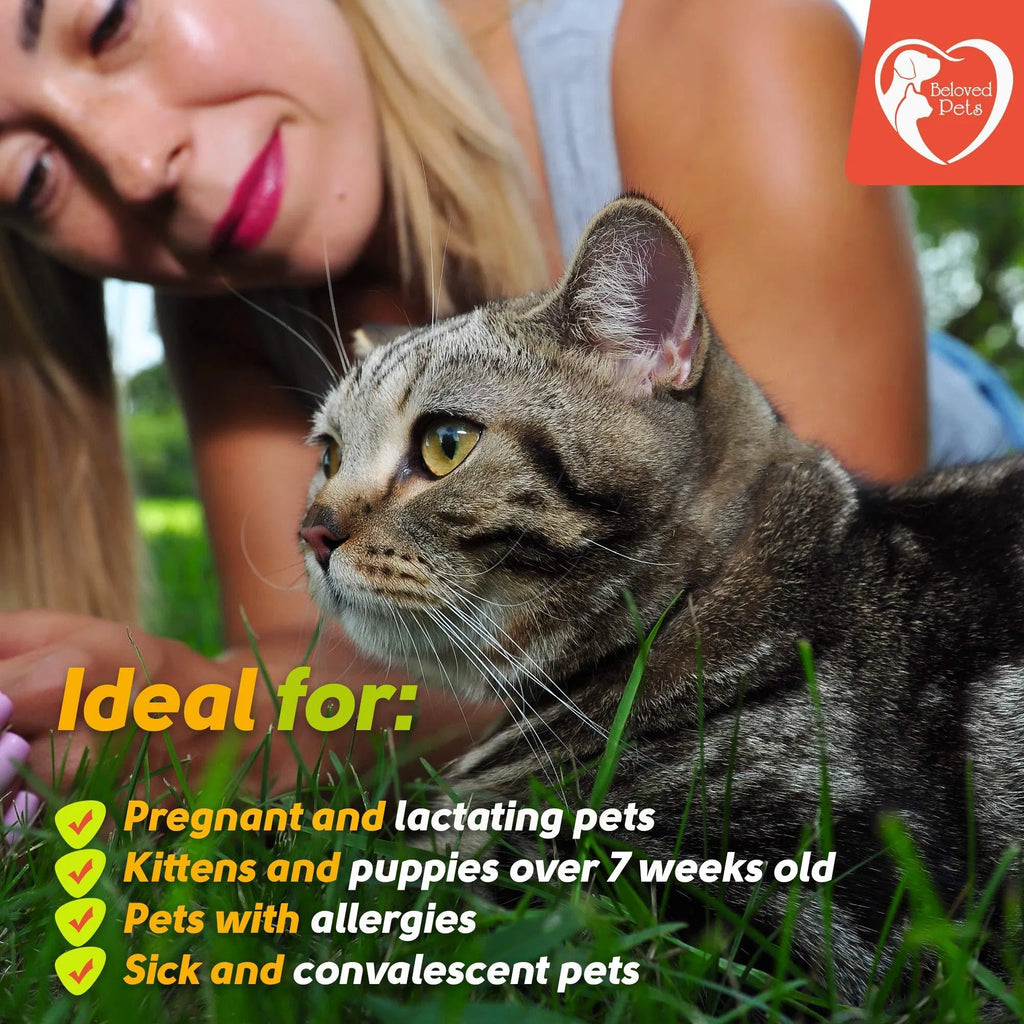 GreenFort NEO Flea & Tick Spot-on from MotivePets for pet comfort, care and everyday use