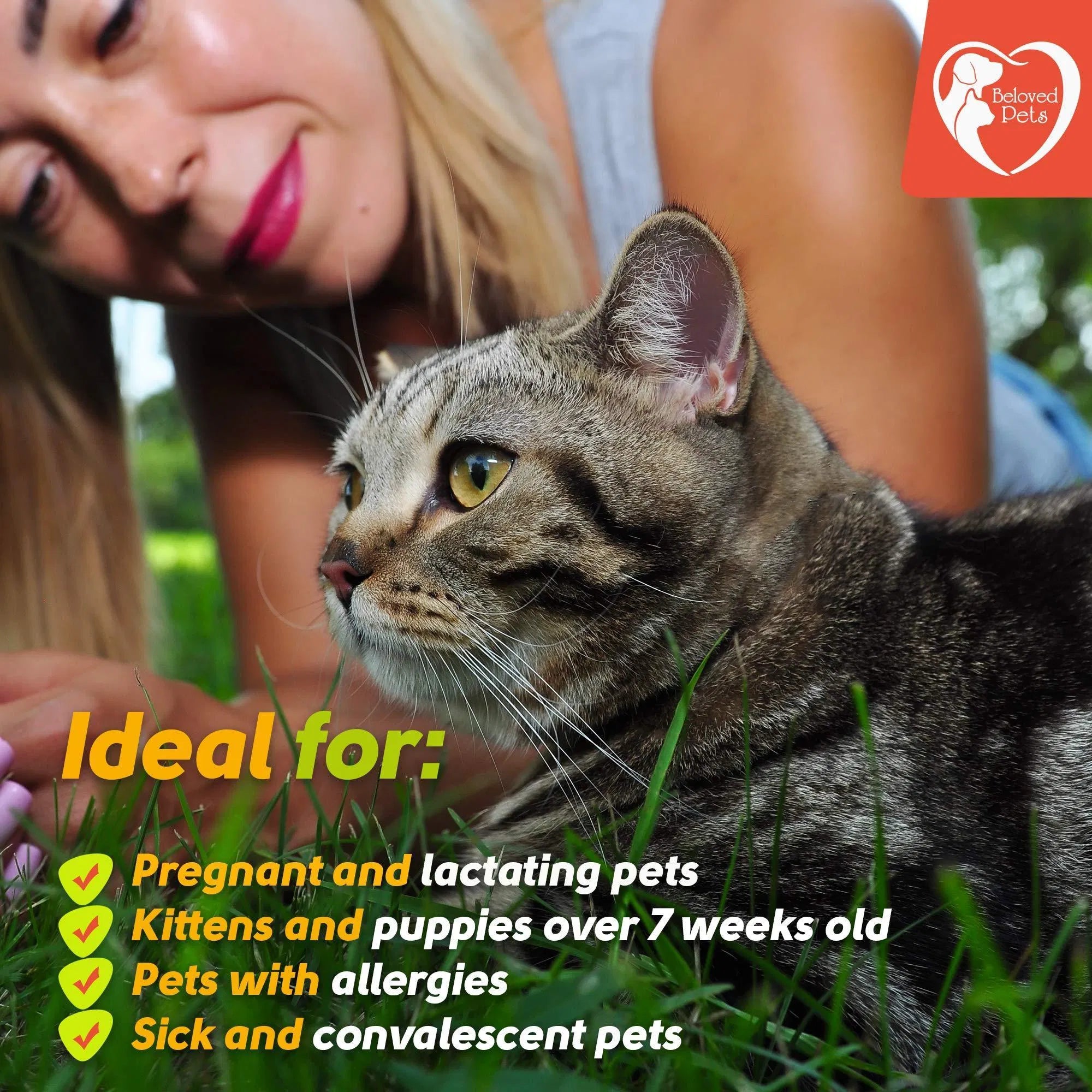 GreenFort NEO Flea & Tick Spot-on from MotivePets for pet comfort, care and everyday use