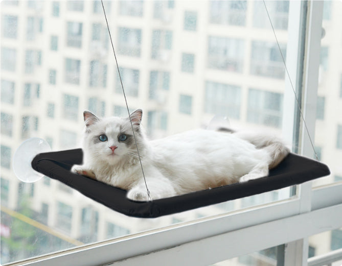 Foldable Suction Cup Window Cat Hammock from MotivePets for pet comfort, care and everyday use